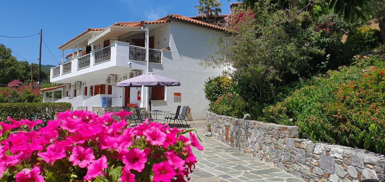 Drosia Apartments Platanias  외부 사진